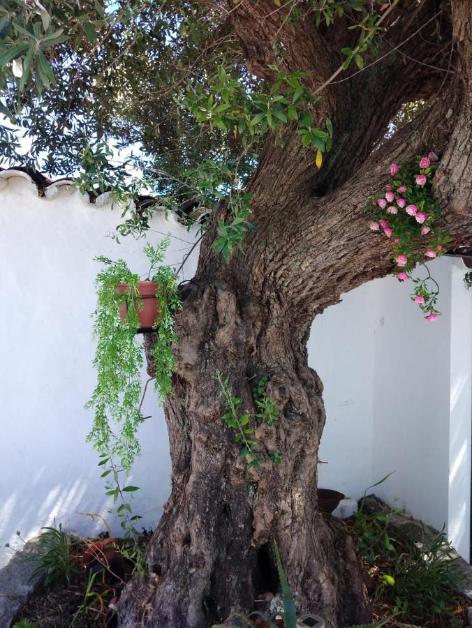 Casa Da Avo Rita Holiday home *